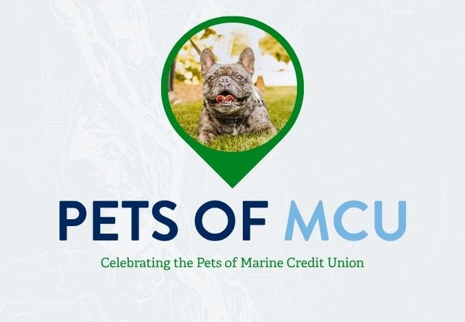 Pet of Marine Credit Union Event