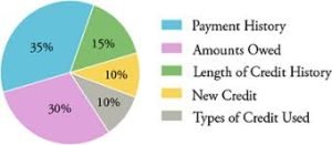 Graph showing components that affect your credit score.